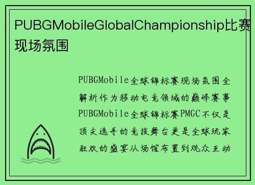 PUBGMobileGlobalChampionship比赛现场氛围