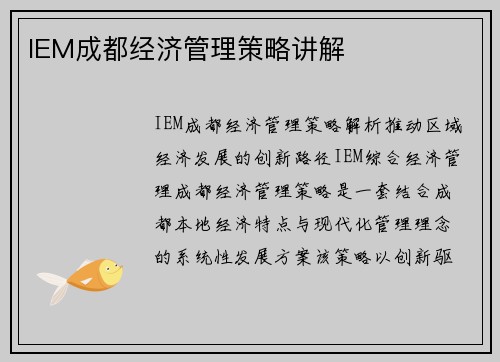 IEM成都经济管理策略讲解